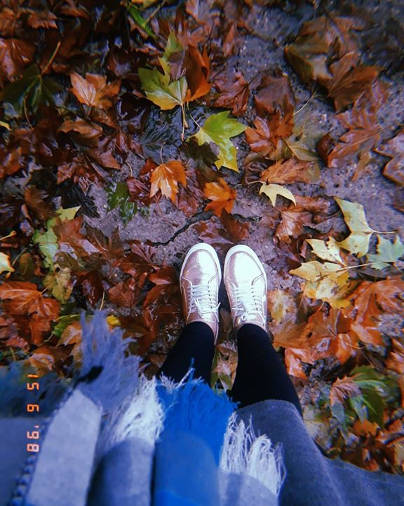 Cayeron un par de 🍁🍁🍁_ #autumn🍁 #sne