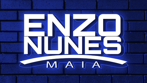 Enzo Logo Banner.png