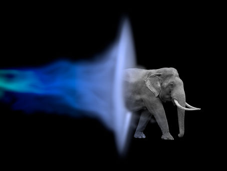 teleport.life 