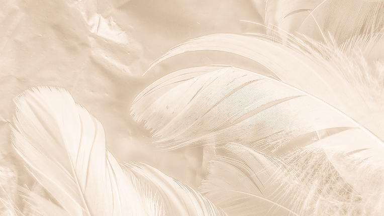 Shamana Soul Healing & Creations-7.png
