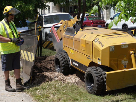 Stump Grinding