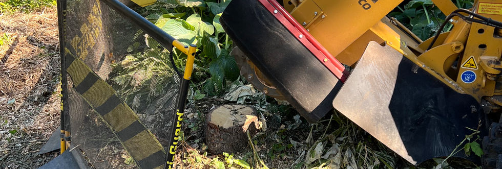 Safely removing a mid michigan tree stump near a home's deck