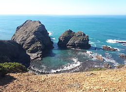 20190212_114905.jpg