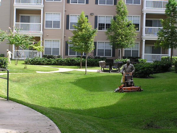 apartmentlandscape.jpg