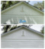 Soft washing house