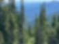 IMG_3177.jpeg