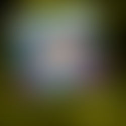 Meta cambia la etiqueta ‘Hecho con IA’ por ‘Información de IA’ para dar más detalles sobre el contenido de las imágenes