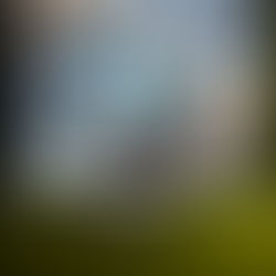 Científicos chinos crean minicerebros vivos que controlan robots