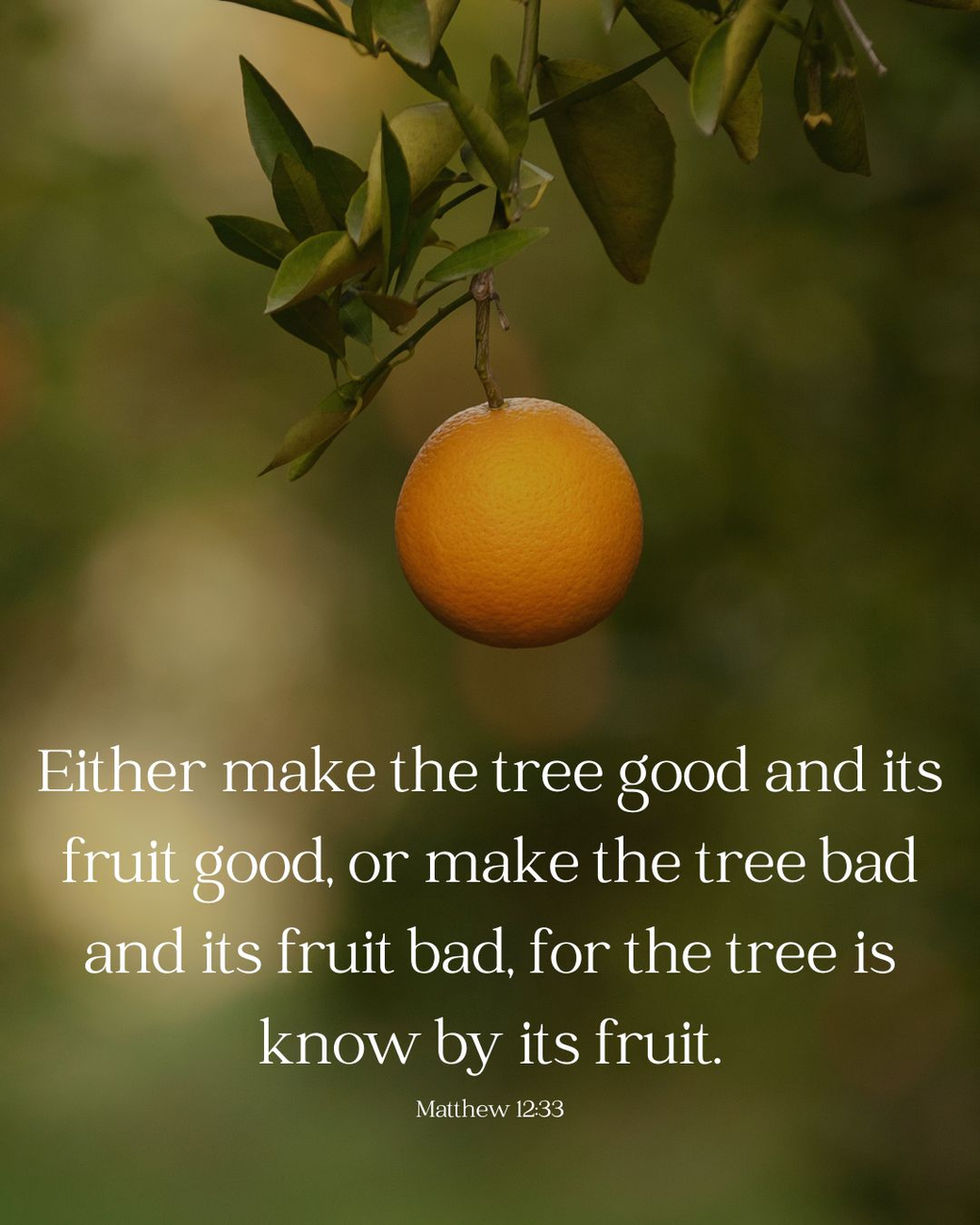 Matthew 12:33 Scripture Post