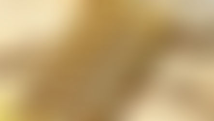 Digitally Transforming Gold Loan Application & Processing User Journey