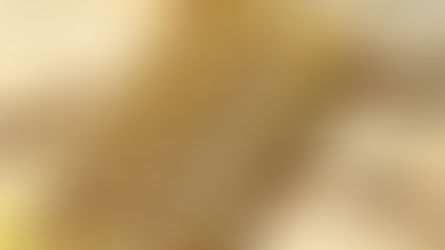 Digitally Transforming Gold Loan Application & Processing User Journey