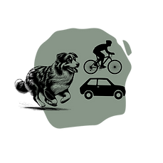 Design sans titre (27).png