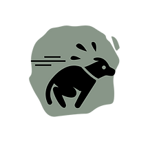 Design sans titre (24).png
