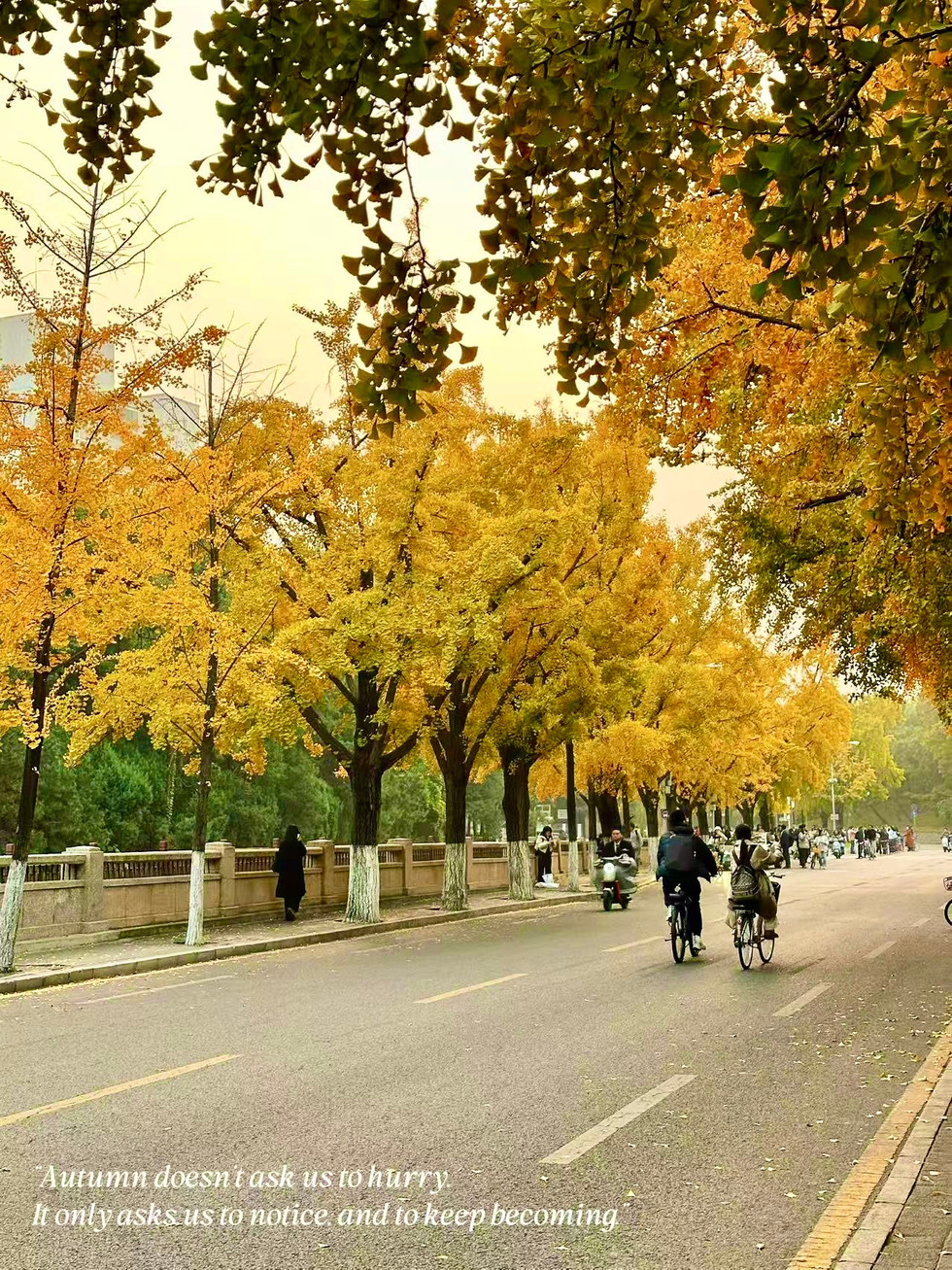Autumn at Tsinghua
