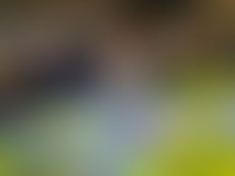 GBJ students explore green transition in Inner Mongolia's Jungar Banner