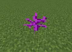 エンザーの枯れ木