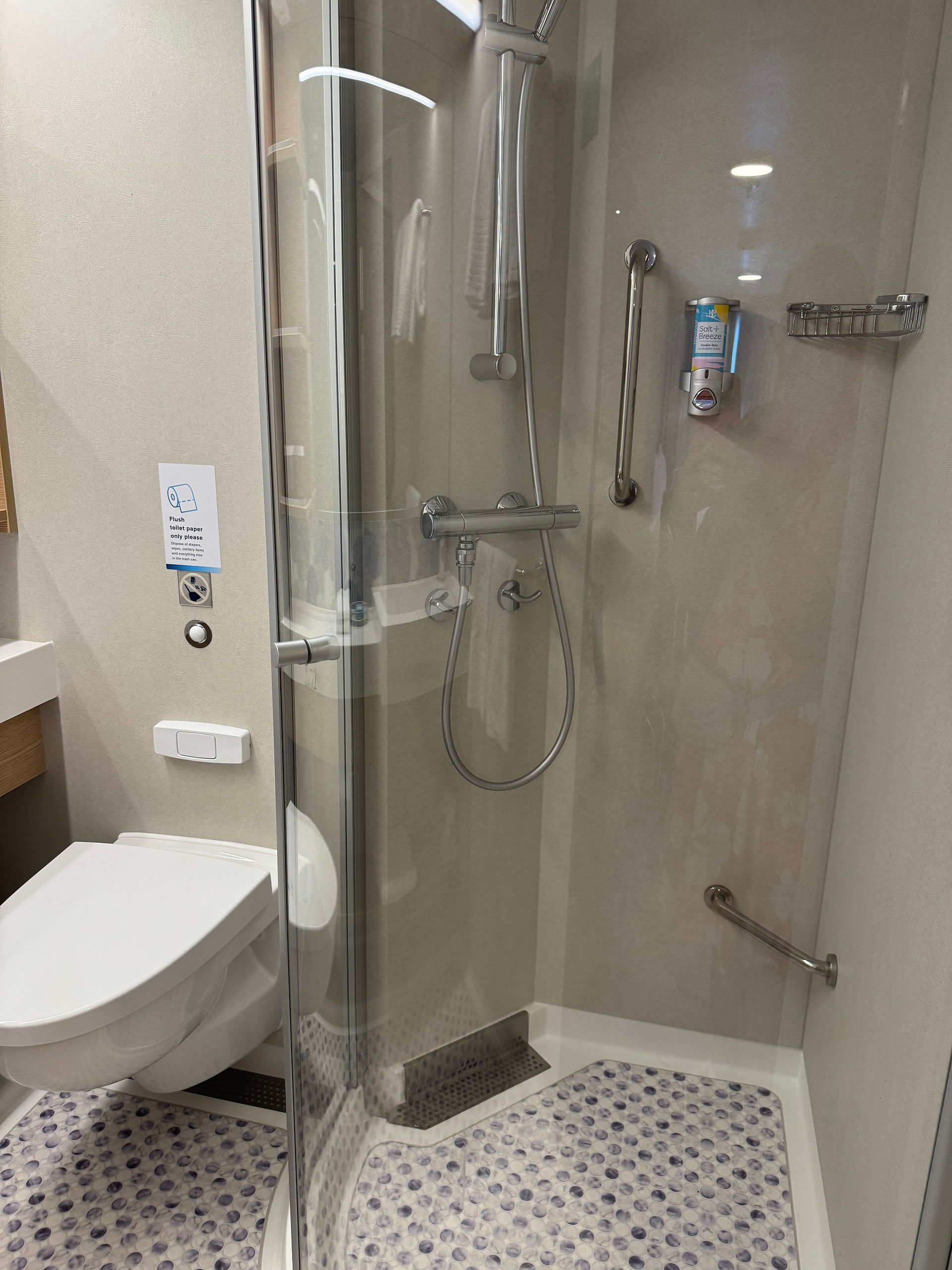 Bathroom toilet and shower stall