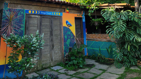 Pintura de paisagem com florestas da mata atlântica, galhos, folhas e o pássaro ferro-velho macho pintado de stencil. Mural pintado com tinta acrílica de parede e spray.