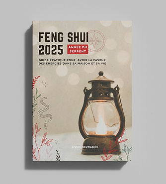 Livre Feng Shui 2025 Astrologie Chinoise Année du Serpent