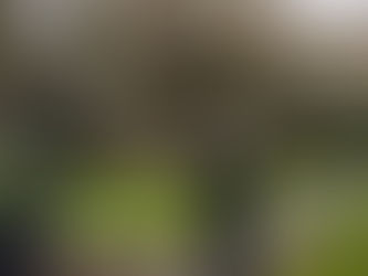 Αυστραλία-κορωνοϊός: Ξεκίνησε η απαγόρευση κυκλοφορίας για έξι εβδομάδες στη Μελβούρνη|BCI GREECE