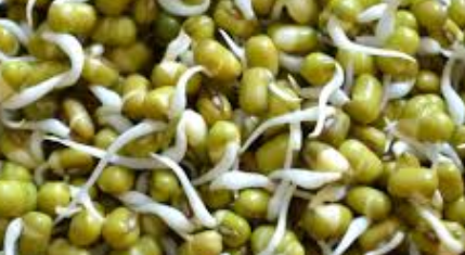 Hundreds of Americans planted those alarmingly mysterious Chinese seeds|BCI GREECE