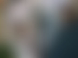 Κορωνοϊος-Αυστραλία:Οκτώ νεκροί , 471 κρούσματα σε 24 ώρες-Φόβοι για εκτίναξη ανεργίας|BCI GREECE