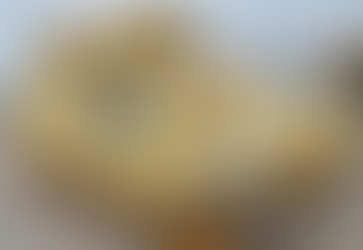 Greece to receive 350 Bradley M2A2 from US Army surplus|BCI GREECE