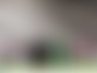 Ολυμπιακός - ΠΑΟΚ 2-0: «Ερυθρόλευκη» ανατροπή και πρόκριση|BCI SPORTS