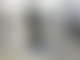 Ολλανδία: Η αστυνομία ανακάλυψε κρυφό θάλαμο βασανιστηρίων σε κοντέινερ|BCI GREECE