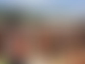 α ίδια στη Γαλλία: Πάνω από 10.000 άτομα σε ρέιβ πάρτι σε χωράφι|BCI GREECE