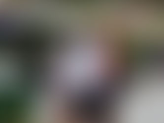 ΗΠΑ: Ρεκόρ θανάτων στη Φλόριντα -252 νεκροί σε μία ημέρα|BCI GREECE