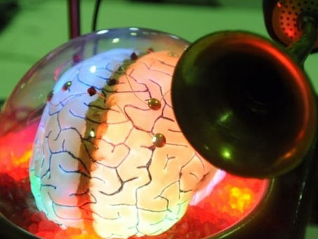 Meet the 8-foot-tall robot designed to insert Elon Musk’s Neuralink