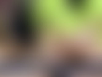 Μαχαίρωσαν μέχρι θανάτου 16χρονο αγόρι στη Μελβούρνη|BCI GREECE