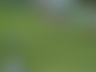 Ολυμπιακός: Σενάριο με πρωταγωνιστή τον Βραζιλιάνο Λίνκολν Ολιβέιρα|BCI GREECE