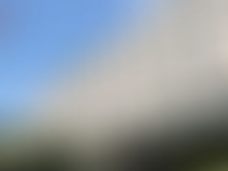 Στέιτ Ντιπάρτμεντ: Καλεί την Τουρκία να διατηρήσει την κληρονομιά της Αγίας Σοφίας|BCI GREECE