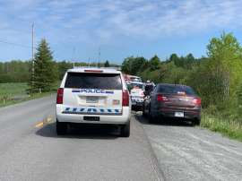 Dog that was on the loose after fatal attack in Middle Musquodoboit is now dead|BCI CANADA