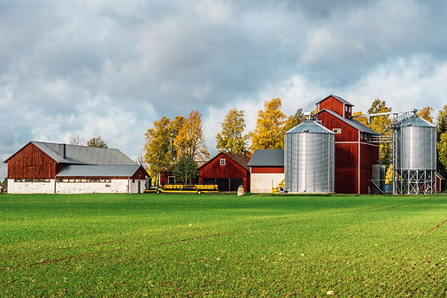 FarmArable AdobeStock_177392222.jpeg