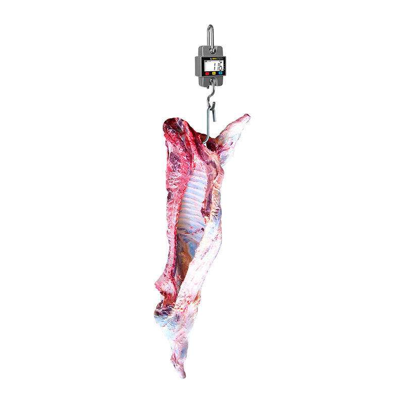 Miniatura: BÁSCULA COLGANTE RHINO 300kg/100g