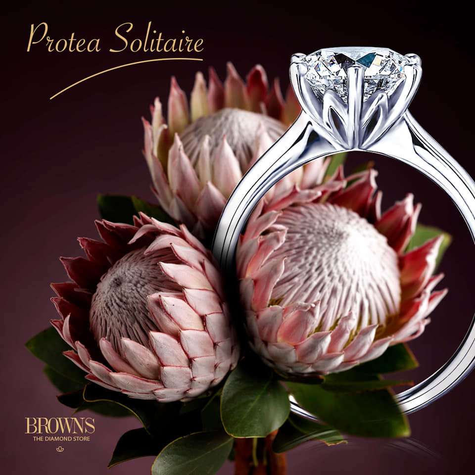Instagram Post Protea Solitaire