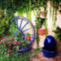 Les Passeroses