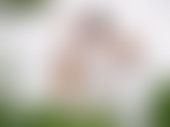 Why Families Are Booking Outdoor Family Photography in Rossville, GA in 2026