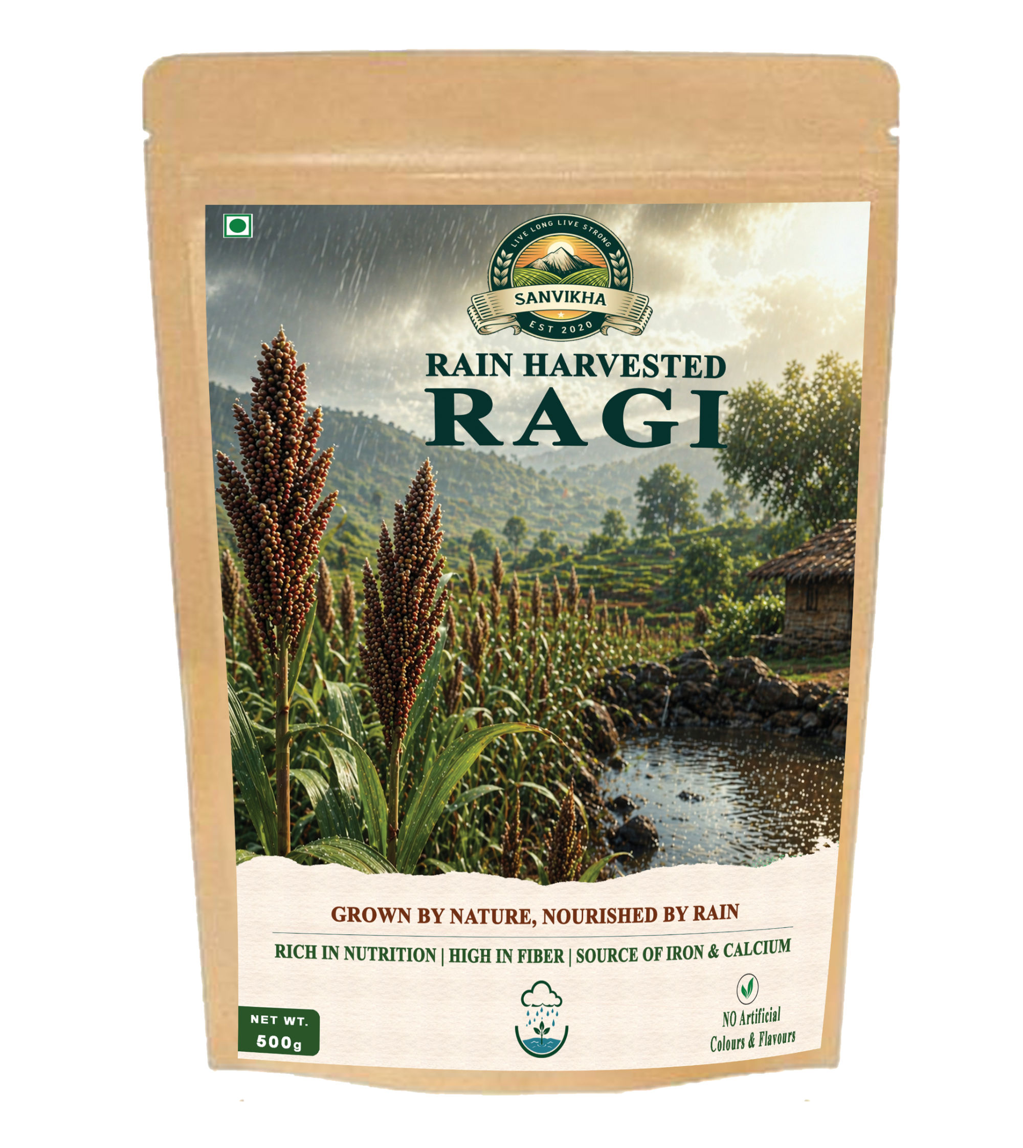 Naturally Grown Finger Millet (Ragi) | Traditionally Processed