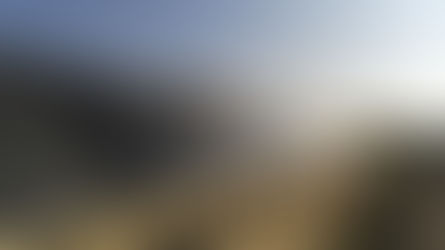 Quel type de panneau solaire choisir ?