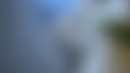 Solardoise vs panneaux solaires classiques : quelle solution pour votre toiture ?