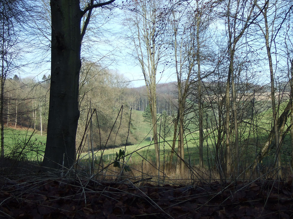 DSCF8604.jpg