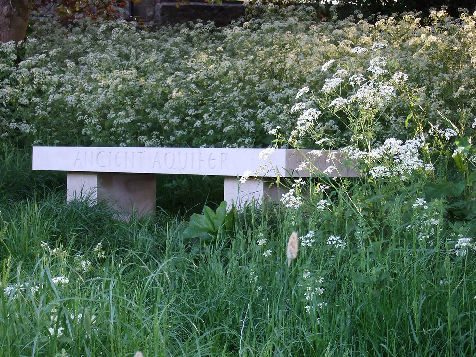 DSCF3580.JPG