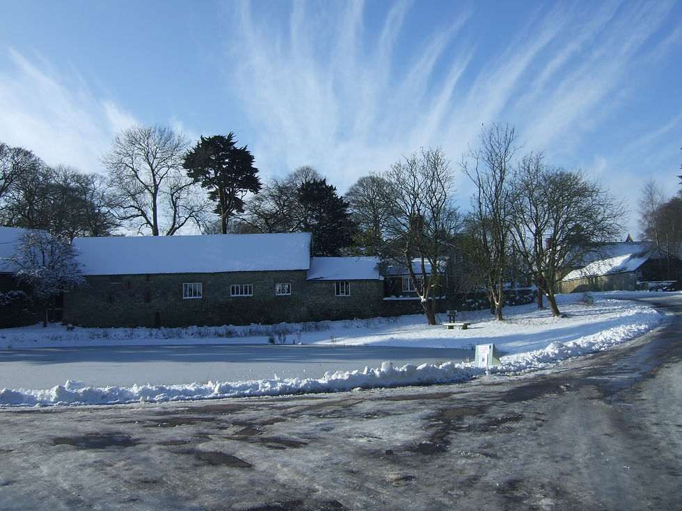 DSCF8700.jpg