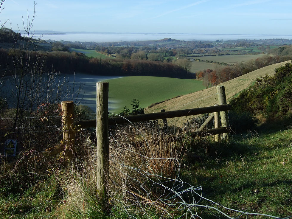DSCF8493.jpg