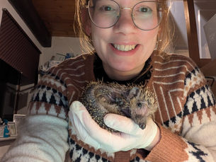 SaWa-TV am 20. April: Melina Maaß bei „Drei nach 11“ – Mit Herz, Verstand und Hingabe für den Igel