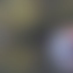 FW Wathlingen: Feuerwehr birgt verendete Schwäne aus Teich